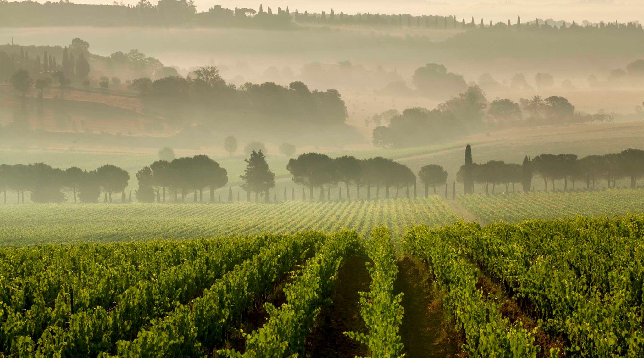 tra-la-tenuta-carpineto-e-il-montepulciano:-il-country-break-ideale