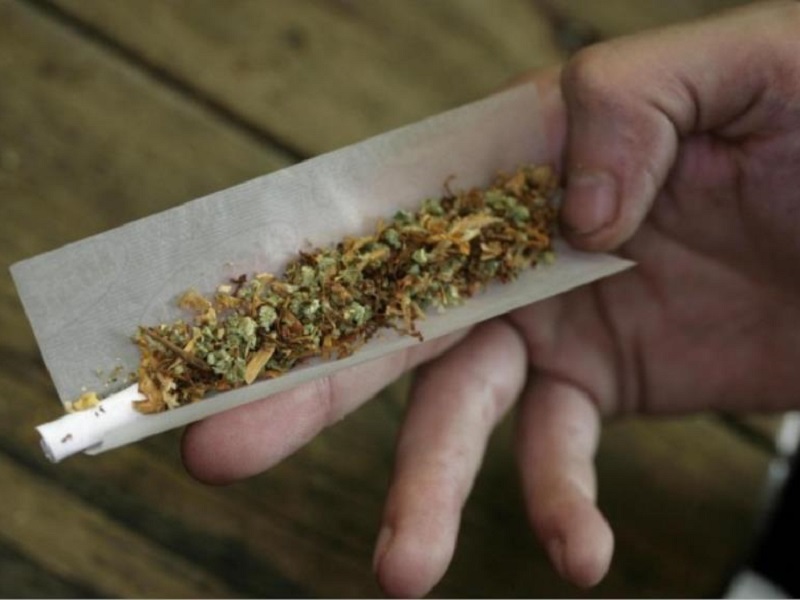 cannabis,-al-via-la-campagna-omceo-in-scuole-e-circoli-sportivi.