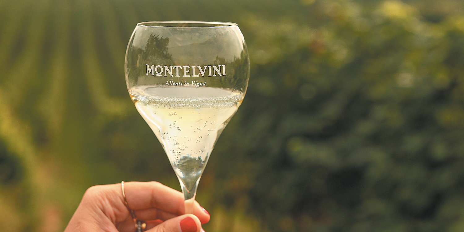 montelvini-cresce-a-valore:-ricavi-oltre-i-31-mln-e-nel-2022