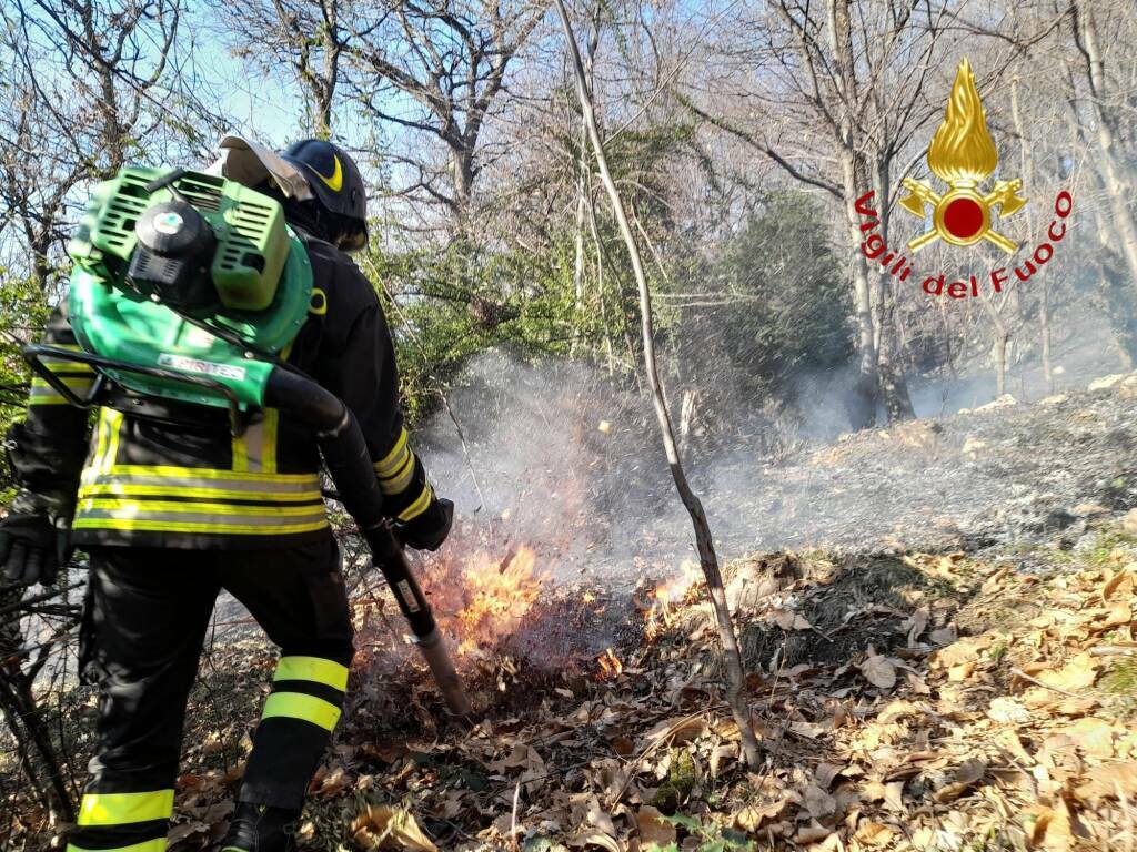 i-vigili-del-fuoco-a-canzo-per-domare-un-vasto-rogo-nel-bosco:-in-fumo-un-ettaro-di-vegetazione-–-ciaocomo