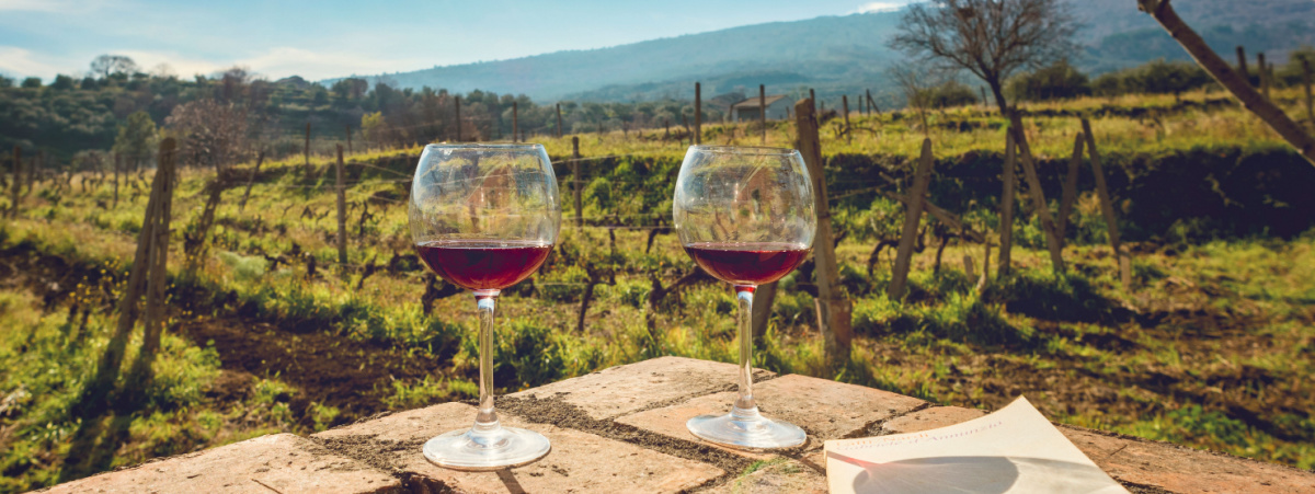 menfi-citta-del-vino-2023-e-i-vini-siciliani-piu-interessanti