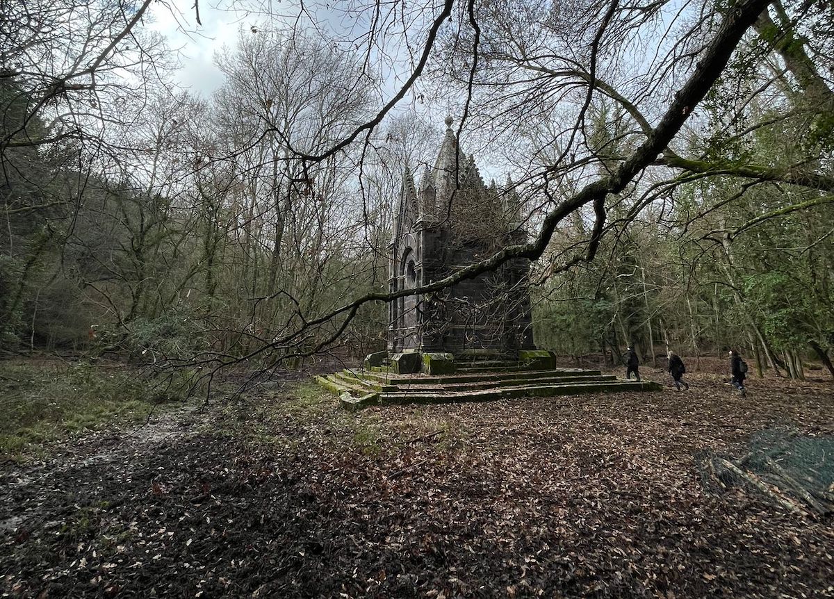 il-bosco-del-sasseto,-in-tuscia-il-bosco-in-cui-e-vietato-qualsiasi-intervento-umano