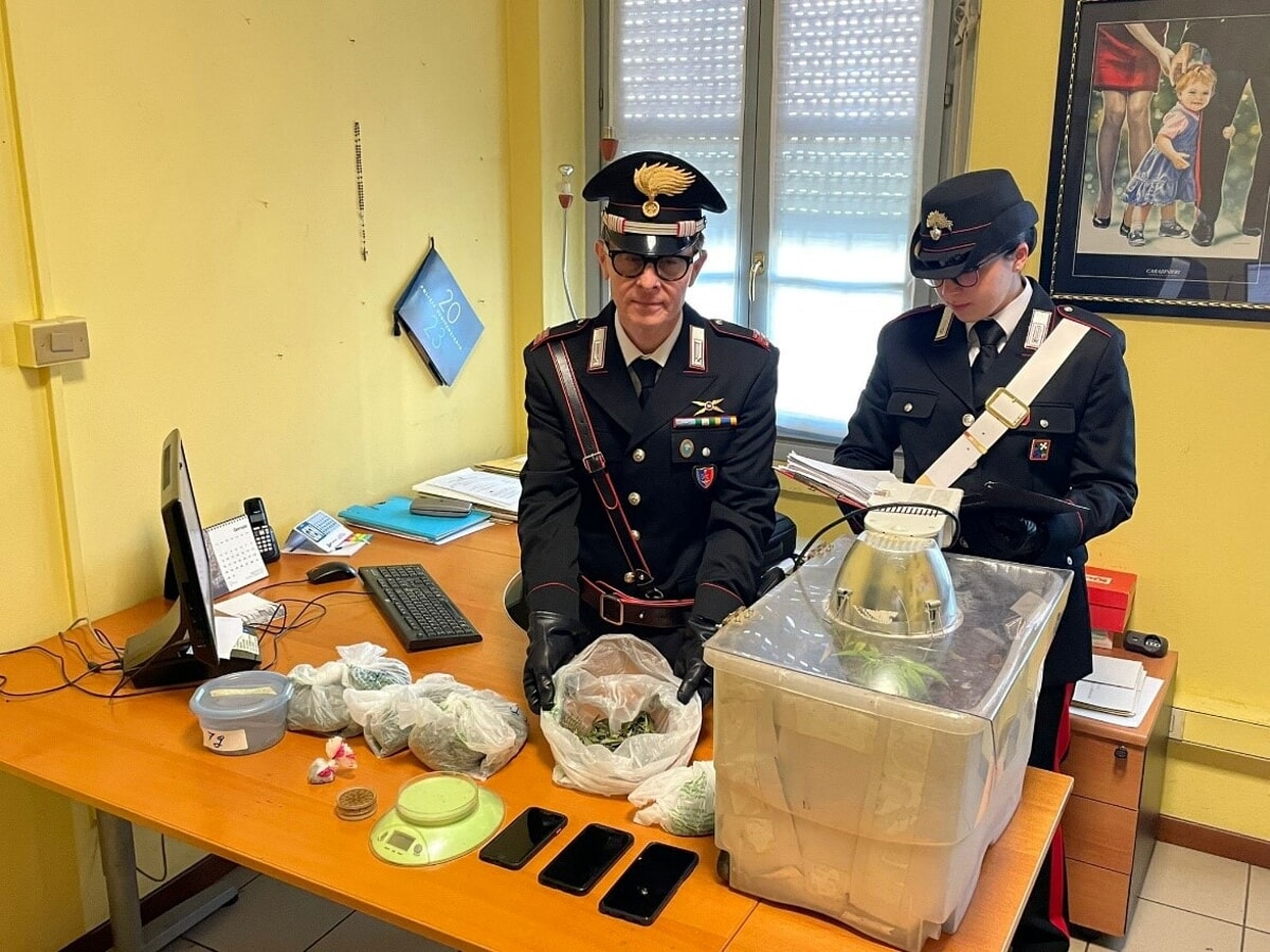 arresti-a-mariano-comense:-in-manette-pusher-che-coltivava-marijuana-in-casa