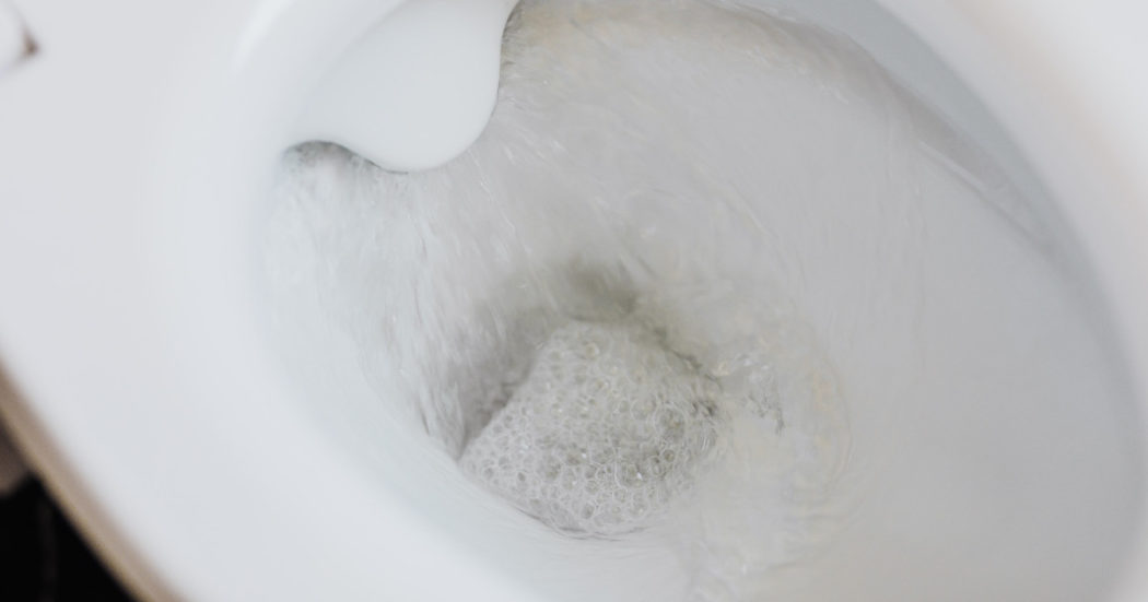 cosa-succede-quando-si-tira-lo-sciacquone-in-un-bagno-pubblico:-i-rischi-per-la-salute-–-il-fatto-quotidiano