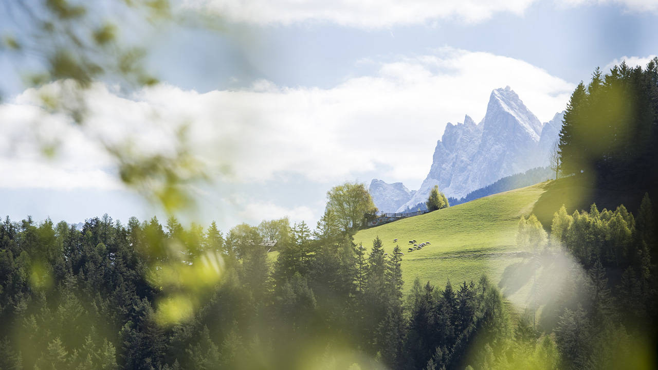 gnollhof,-a-primavera-tutto-e-possibile-–-james-magazine