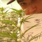 the-slate-phuket-says-bong-appetit-to-cannabis-infused-dining