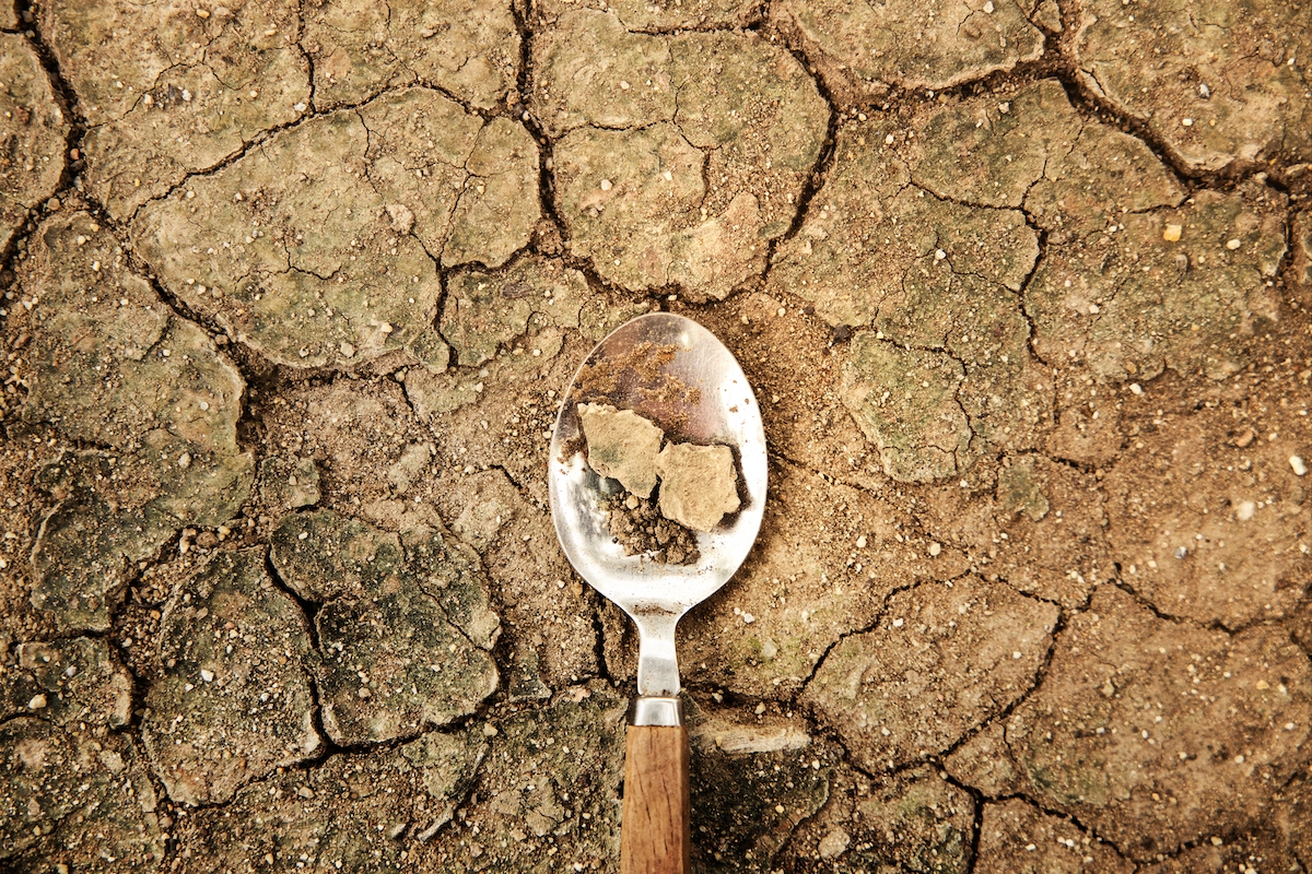 siccita-e-produzione-agricola:-a-rischio-i-prodotti-del-made-in-italy