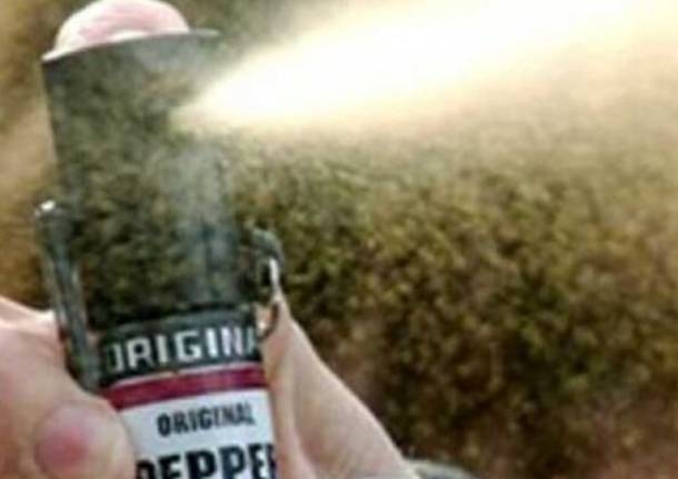 spray-al-peperoncino-in-una-scuola-a-pregnana-milanese,-individuati-i-colpevoli-–-legnanonews