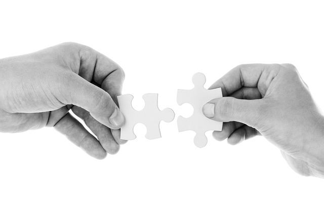 lokky-e-tot:-la-nuova-partnership-fintech-assicurativa