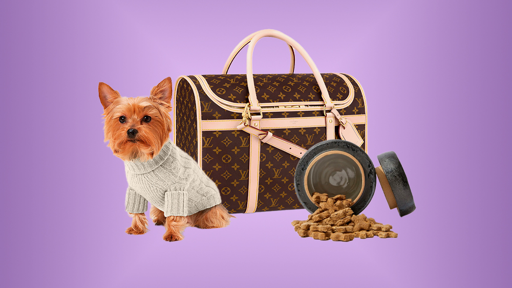 the-25-best-gifts-for-animal-lovers-and-their-pets,-from-tasty-treats-to-luxe-accessories