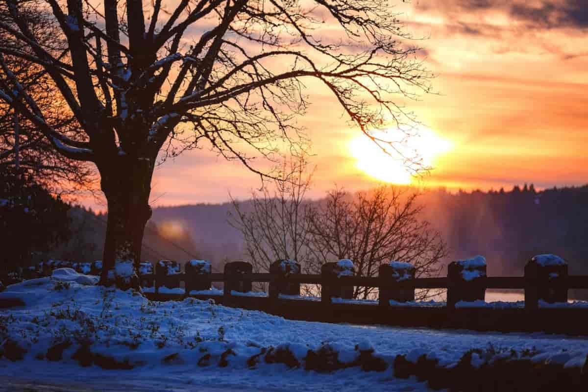 meteo-di-san-valentino,-fara-ancora-freddo?-cosa-dicono-le-previsioni