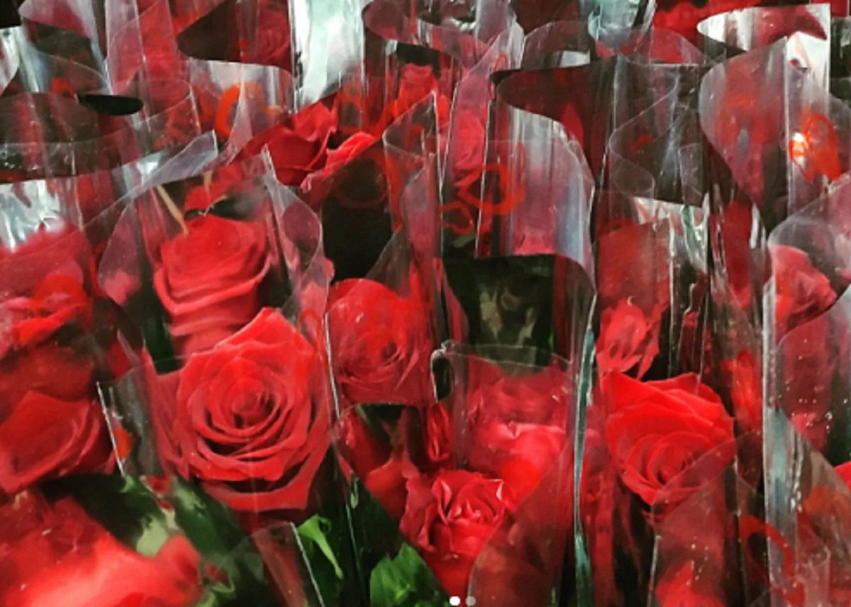 cosa-fare-a-milano-a-san-valentino:-idee-e-proposte-per-la-coppia-|-milanonotizie.it