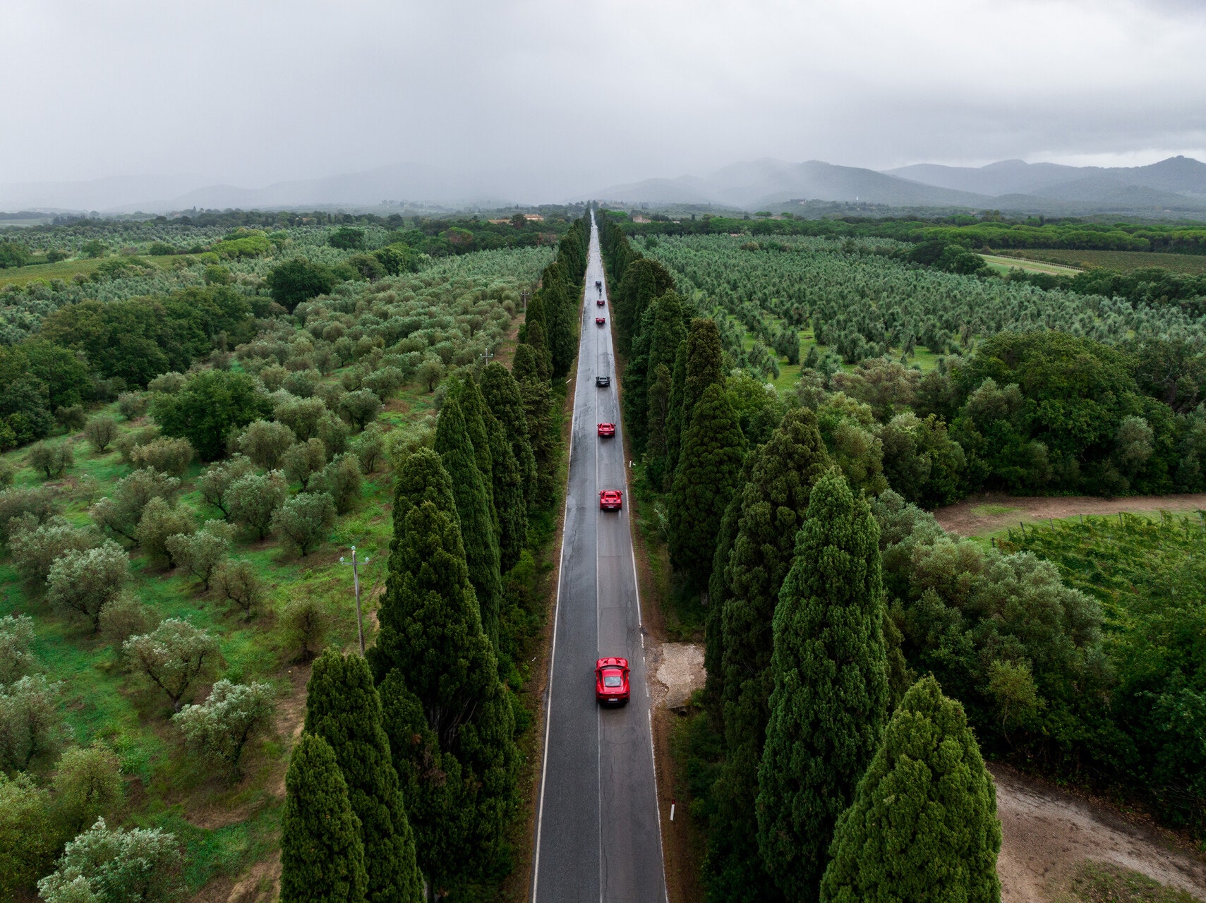 vacanze-in-auto,-alla-scoperta-delle-alpi-e-della-napa-valley