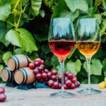 low-cal-and-low-carb-wines-for-wellness